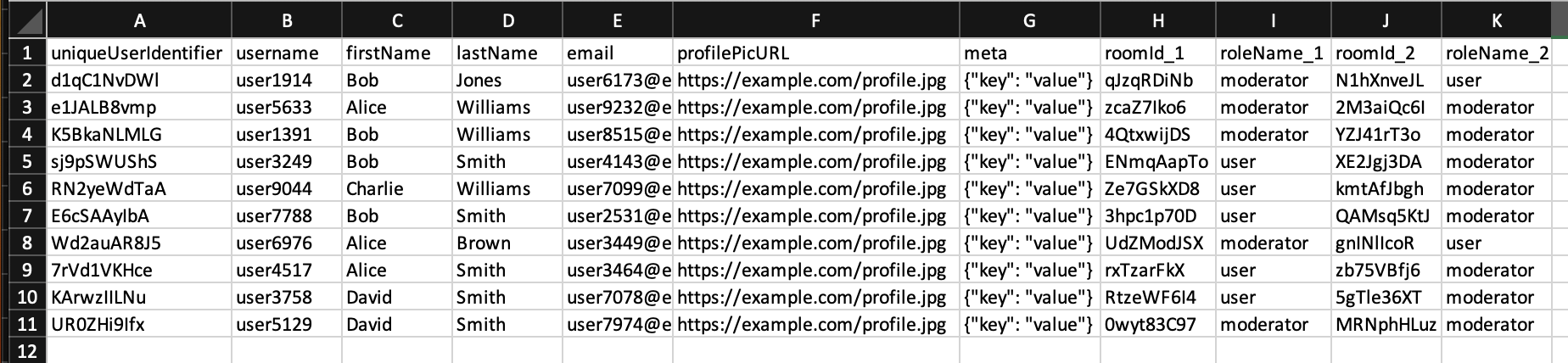 Users Import CSV